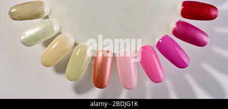 Manicure service nail polish palette with samples Stock Photo