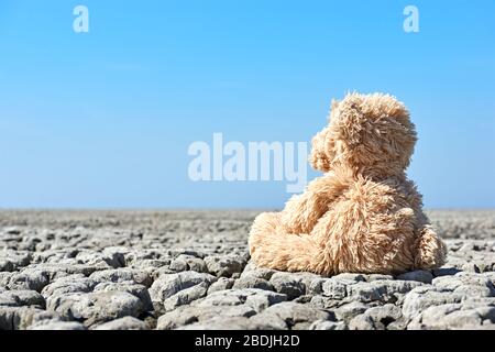 Teddy bear in desolate landscape. Teddy bear sitting on dry cracked ground with blue sky looking at the horizon. Concept of global warming. Stock Photo