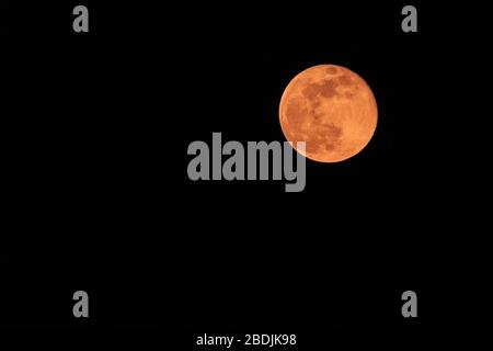 NRW, Germany. 08th Apr, 2020. The full super pink moon slowly rises over the Munsterland countryside in clear skies above North Rhine-Westphalia. Credit: Imageplotter/Alamy Live News Stock Photo