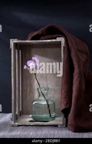 Dried Sea lavenders in an inverted grey wooden decorative box on a black background Stock Photo