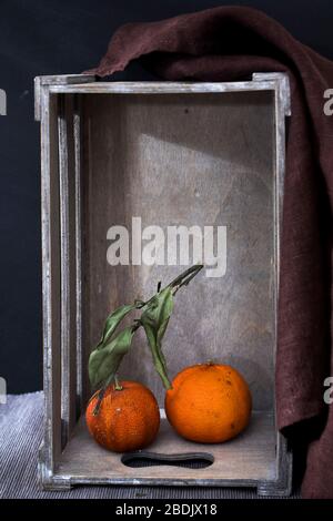 Two dried tangerines in an inverted wooden decorative box on a black background. Copy space Stock Photo