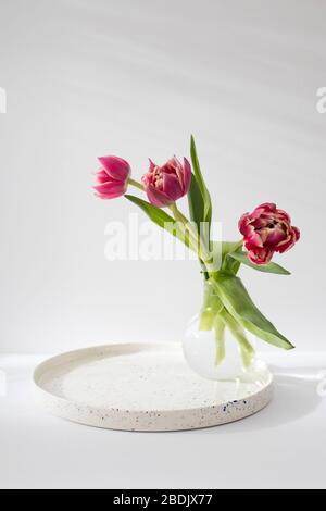 Three red terry tulips in a round vase with on a white background