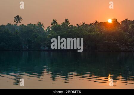 Jungle of palm trees with atmospheric haze at sunset, along a freswater lake in Eramalloor's Backwaters, a popular tourist destination and yoga retrea Stock Photo