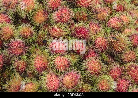 Suzhou China - May 3, 2010: closeup of heap of Rambutan green spiked red fruits. Stock Photo