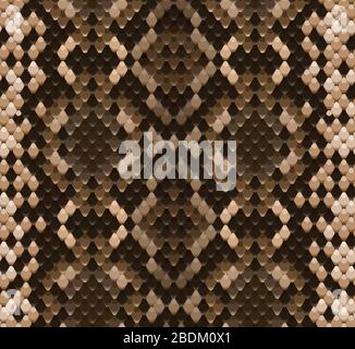 Seamless vector pattern of snake skin realistic illustration Stock Vector