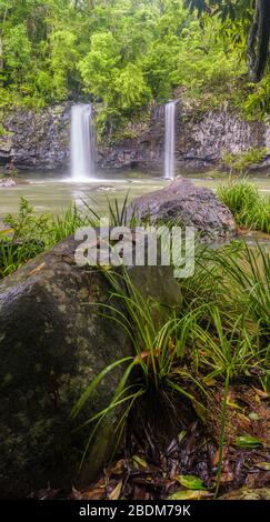 A vertical panorama of lush, tropical rainforest and twin falls in the Tully Gorge National Park in Queensland, Australia. Stock Photo