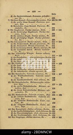 Handbuch für den Liebhaber der Stuben-, Haus- und aller der Zähmung werthen Vögel (Page XIII) Stock Photo