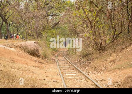 old abandoned Train Tracks in Forest stock photograph image Stock Photo