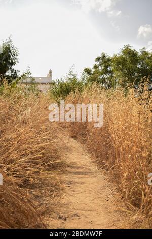 Dirty Road Pathway Background,Falling Leaves on dirty road stock photograph image Stock Photo