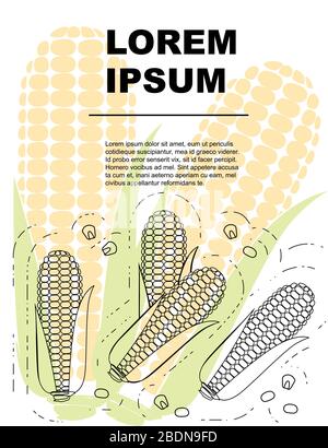 Advertising flyer or greetings card design with outline corn cob flat vector illustration on white background with colored corn Stock Vector