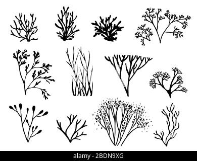 Set of black colored seaweeds silhouette underwater ocean plants sea coral elements flat vector illustration on white background Stock Vector