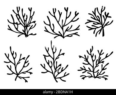 Seaweeds aquarium  decoration cartoon vector set for video 