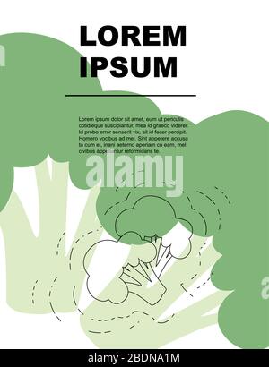Advertising flyer or greetings card design with outline broccoli flat vector illustration on white background colored broccoli Stock Vector