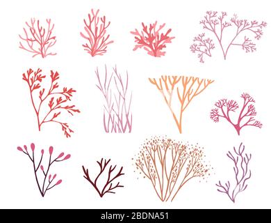 Set of pink colored seaweeds underwater ocean plants sea coral elements flat vector illustration on white background Stock Vector