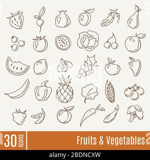 Flat icons in Fruits and Vegetables infographic icons set. Stock Vector