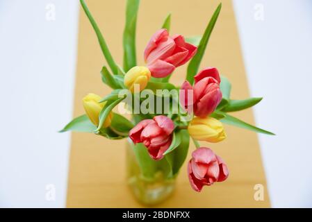 Top down image of a seven red and yellow Tulips in a vase placed on top of the table with a yellow cover on white surface as a blurred background Stock Photo