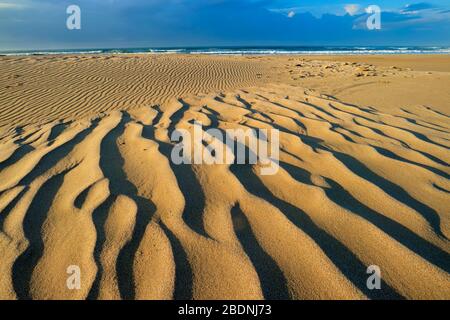 Scenic beach early morning with wind-blown patterns in the sand, South Africa Stock Photo