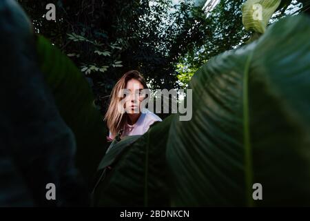 Young agricultural engineer examines leaves in greenhouse Stock Photo