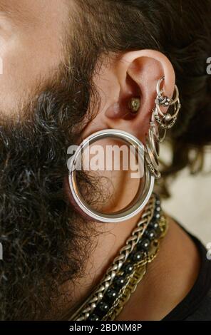 Piercings and earrings inside a male ear macro shoot Stock Photo