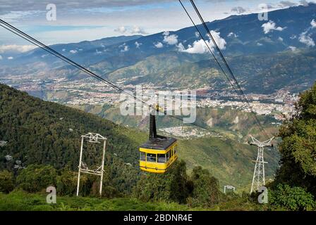 Sierra de marquetería Fotografía de stock - Alamy