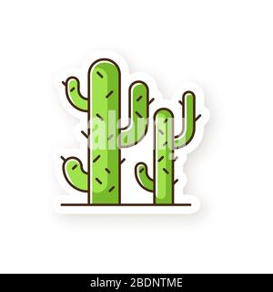 Cacti patch. Desert plants. Saguaro cactus. Prickly tree like succulent. American arid area thorny wildflower. RGB color printable sticker. Vector Stock Vector