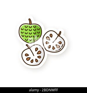 Cherimoya patch. Delicious custard apple. Annona cherimola. Sweet ripe tropical fruit. Healthy vegan diet. Exotic organic product. RGB color printable Stock Vector