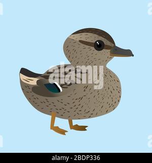 A vector illustration of a of very cute mallard. It is a female duck. Stock Vector