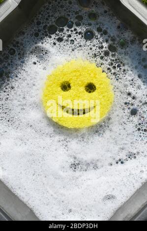 sponge with a happy face｜TikTok Search