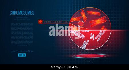 Abstract silhouette of the polygonal chromosomes on blue background. Scanning, research, study of the human chromosomes. Stock Vector