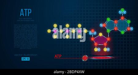 Abstract silhouette of the polygonal molecule ATP acid on blue background. Skeletal, organic formula. Holographic vector Stock Vector