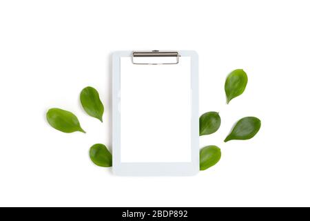 Frame made of green leaves on a blue pastel background. Clipboard with paper card mockup. Spring concept. Stock Photo