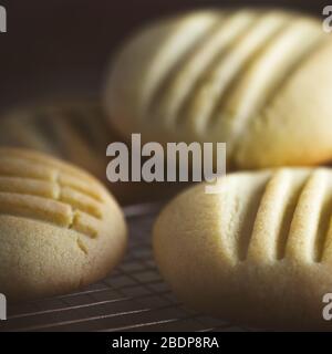 square image of home made butter cookies with fork pressed design freshly baked  selective focus shot for copy space for recipes Stock Photo