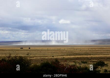 Wind and Sand storm in the Patagonia Steppe near Punta Arenas city, Patagonia, Chile, South America Stock Photo