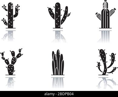 Cactuses drop shadow black glyph icons set. American desert plants. Family Cactaceae. Different prickly succulents. Arid area thorny wildflowers Stock Vector