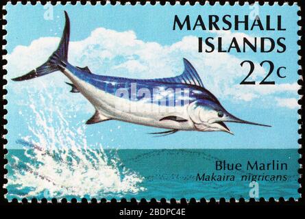 Blue marlin on stamp of Marshall Islands Stock Photo