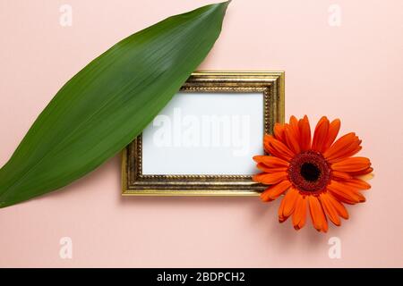Empty photo frame with orange gerbera daisy flower and green leaf on pink background. Floral composition, flat lay, top view, copy space Stock Photo