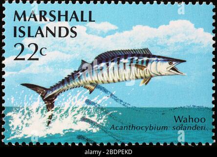 Wahoo on postage stamp of Marshall Islands Stock Photo