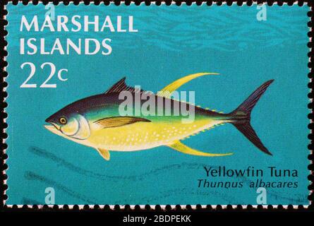 Yellowfin tuna on stamp of Marshall Islands Stock Photo