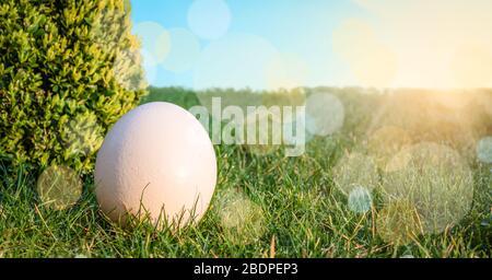 Easter egg in the grass. Sun in the sky background design. Stock Photo