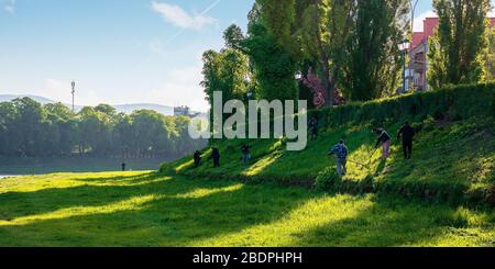 group of people scything the grass on a hump. lawn mowing in an old-school way on a sunny morning in springtime. location kyiv embankment in uzhgorod Stock Photo