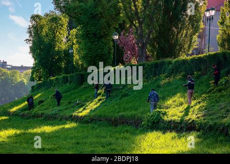 group of people scything the grass on a hump. lawn mowing in an old-school way on a sunny morning in springtime. location kyiv embankment in uzhgorod Stock Photo