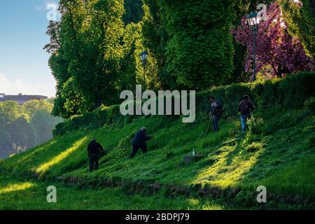 group of people scything the grass on a hump. lawn mowing in an old-school way on a sunny morning in springtime. location kyiv embankment in uzhgorod Stock Photo