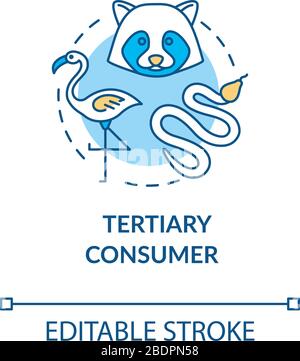 Grazing food chain concept icon with text. Herbivores and carnivores ...