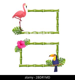 bamboo frames with flamingo,toucan, and flowers, vector illustration on a white background Stock Vector