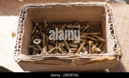 Small screws in a cardboard box. Stock Photo