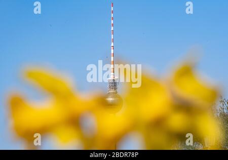 Berlin, Germany. 09th Apr, 2020. Easter bells frame the television tower. Credit: Paul Zinken/dpa-zb-Zentralbild/dpa/Alamy Live News Stock Photo