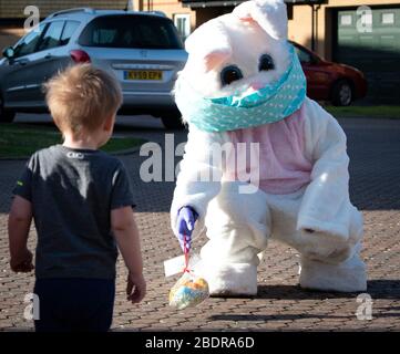 Hoppity the bunny, wears a face mask to prevent the spread of COVID-19, coronavirus as he places a gift bad and maintains social distancing for a young child at Royal Air Force Lakenheath April 7, 2020 in Lakenheath, England, . The Easter Bunny delivered 1,000 baskets to children across the base. Stock Photo