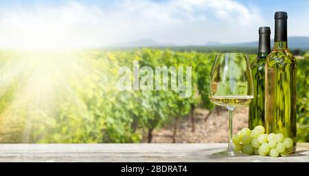 Colorful grapes in basket, white wine bottles and glass in front of landscape of vineyard. French countryside valley Stock Photo