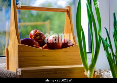 Easter eggs are coloured by the ancient onion husk method with various natural patterns in box by window in sunshine on beige burlap next to sprouted Stock Photo