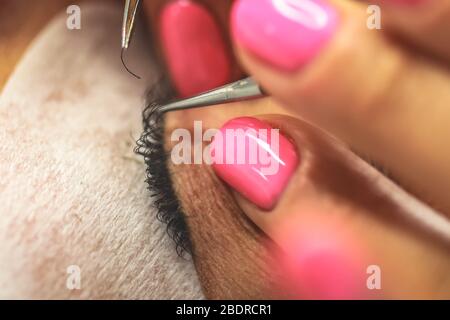 Eyelash Extension Procedure. Woman Eye with Long Eyelashes. Stock Photo